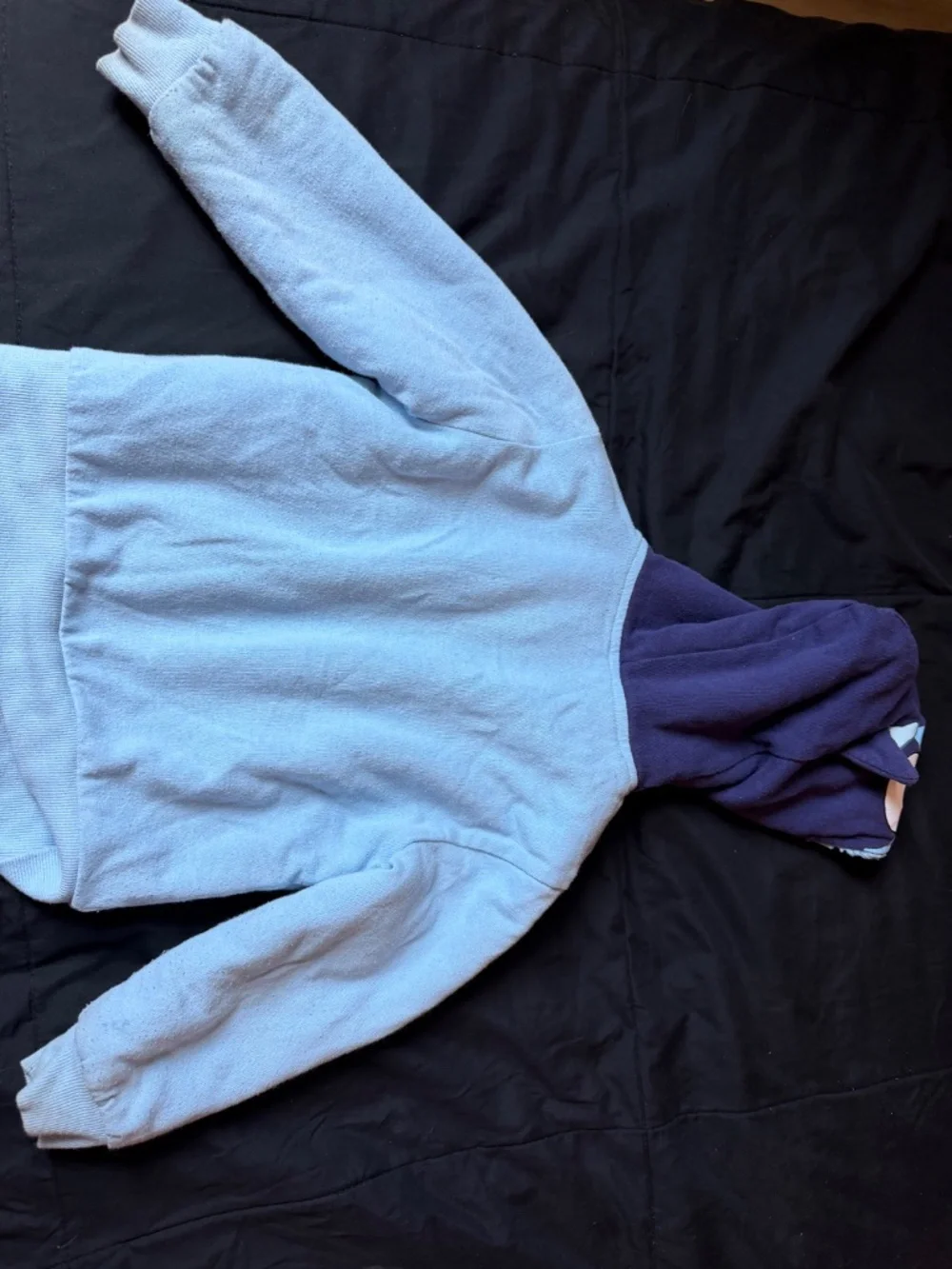 Bluey zip up